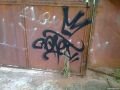Bonet, Araraquara SP. 2012 