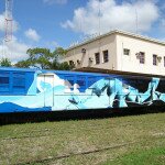 Graffiti em trem de passageiro de João Pessoa, por Loomit (2)