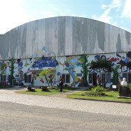 Graffiti Mural em Sobradinho - RS, Parque da Feijão - SubsoloArt.com (106)