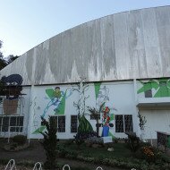 Graffiti Mural em Sobradinho - RS, Parque da Feijão - SubsoloArt.com (19)