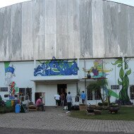 Graffiti Mural em Sobradinho - RS, Parque da Feijão - SubsoloArt.com (43)