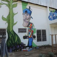 Graffiti Mural em Sobradinho - RS, Parque da Feijão - SubsoloArt.com (53)