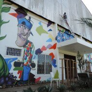 Graffiti Mural em Sobradinho - RS, Parque da Feijão - SubsoloArt.com (71)