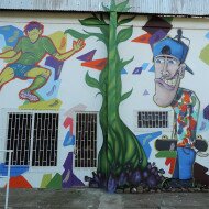 Graffiti Mural em Sobradinho - RS, Parque da Feijão - SubsoloArt.com (96)