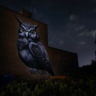 Graffiti Roa. Foto por Florian Krause