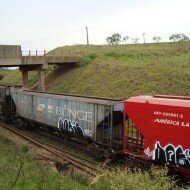 Graffiti de Does HDV em trem de carga - fr8 train (1)