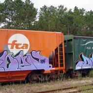 Graffiti de Does HDV em trem de carga - fr8 train (6)