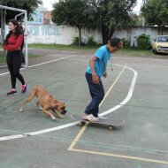 Evento de Aniversário SubsoloArt - 6 anos - Escola Paulo Freire (111)